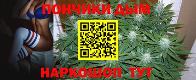 прущие грибы Камышлов