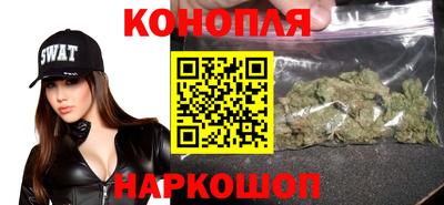 прущие грибы Камышлов