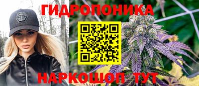 прущие грибы Камышлов