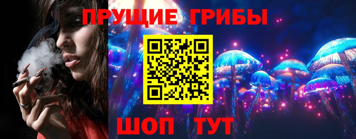 Галлюциногенные грибы Cubensis Ивантеевка